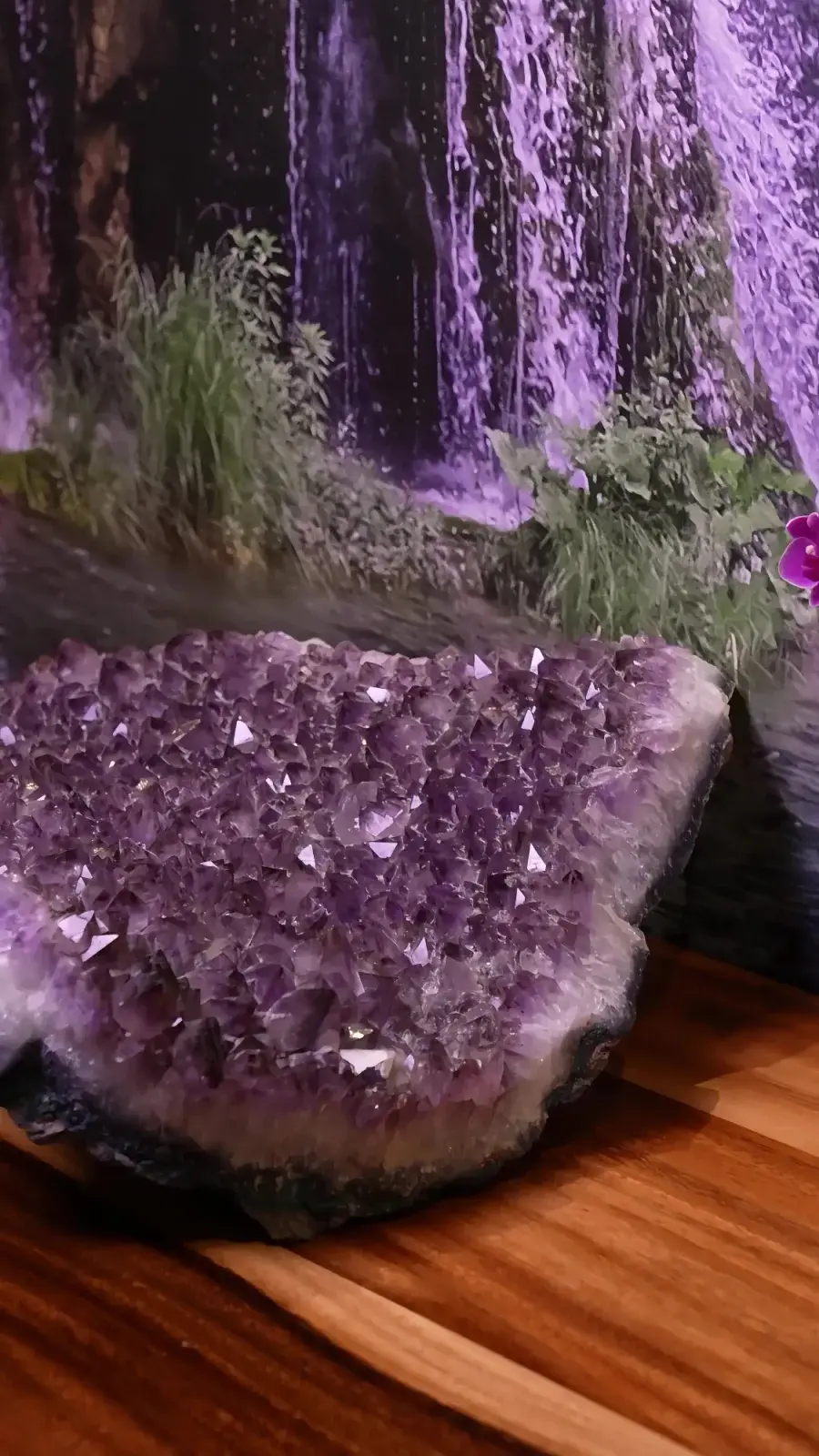 An amethyst geode on the wood counter at Luxury Chiropractic.